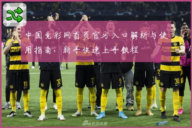 中国竞彩网首页官方入口解析与使用指南,新手快速上手教程