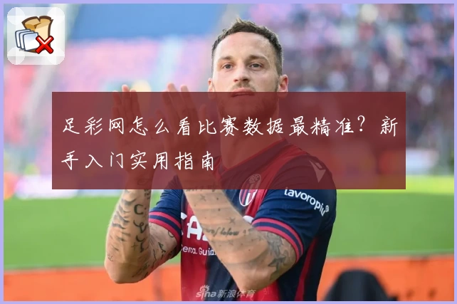 足彩网怎么看比赛数据最精准？新手入门实用指南