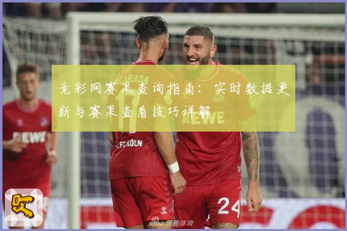 竞彩网赛果查询指南：实时数据更新与赛果查看技巧详解