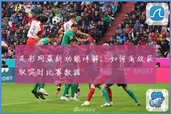 足彩网最新功能详解：如何高效获取实时比赛数据
